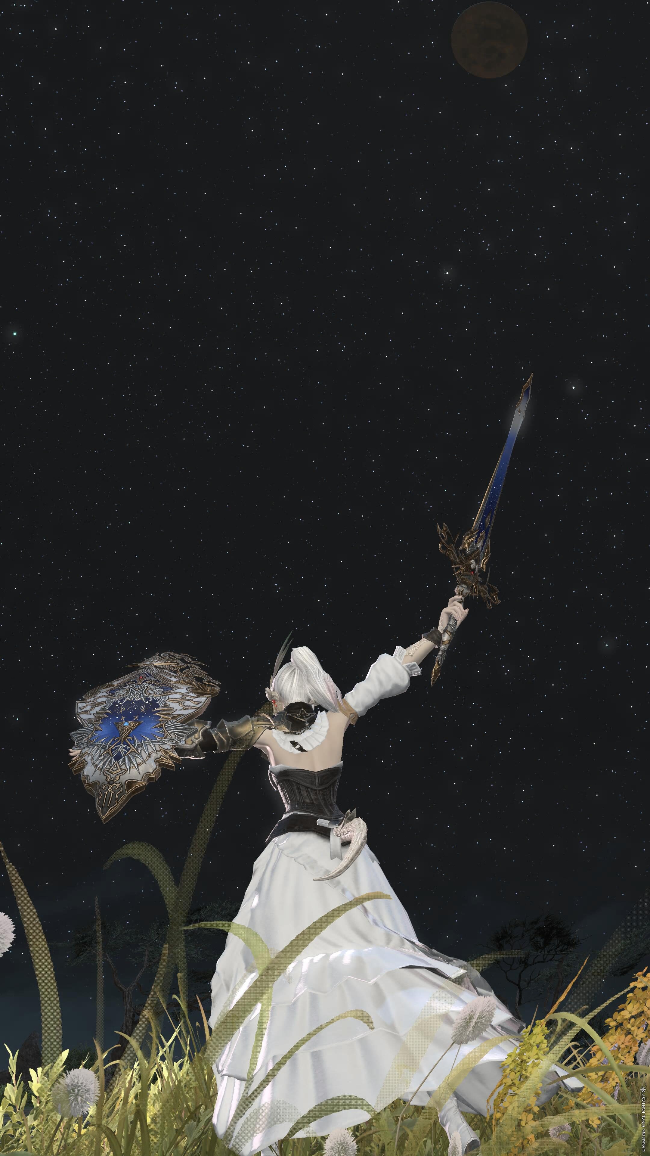 Neo-Ishgardian-00314