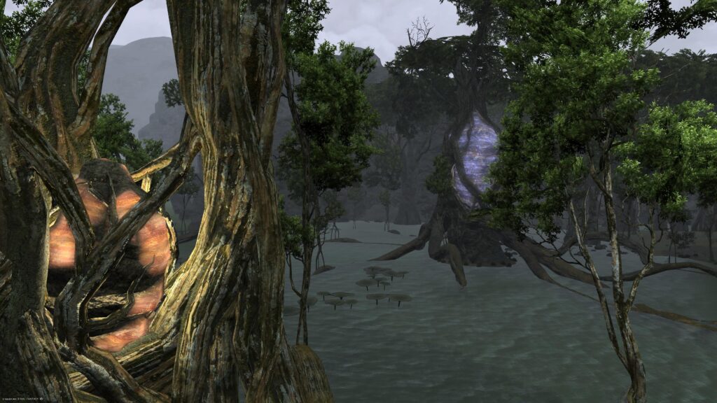 Raktika-Greatwood-00049