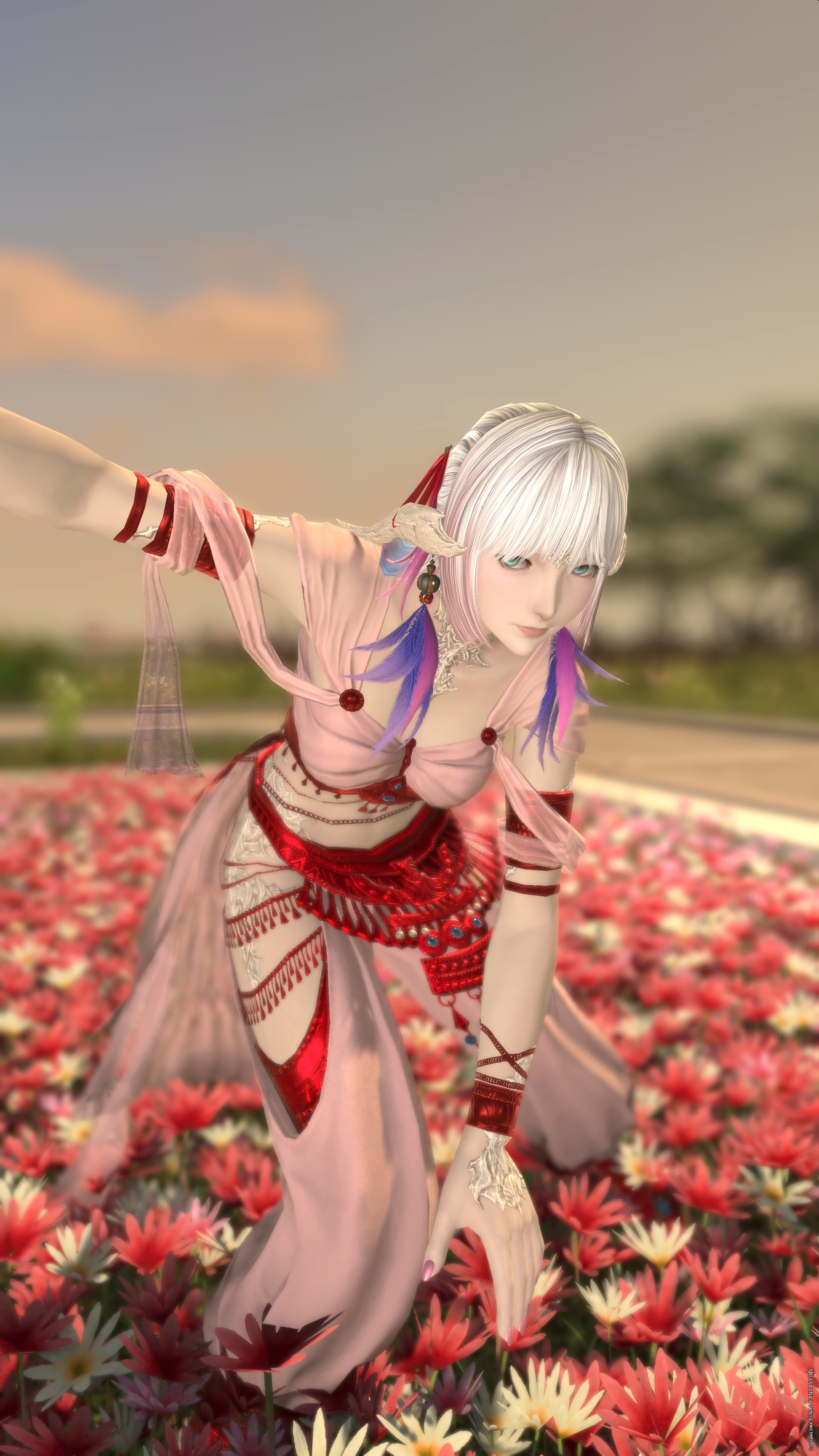 story-spinners-chestwrap-00070-2