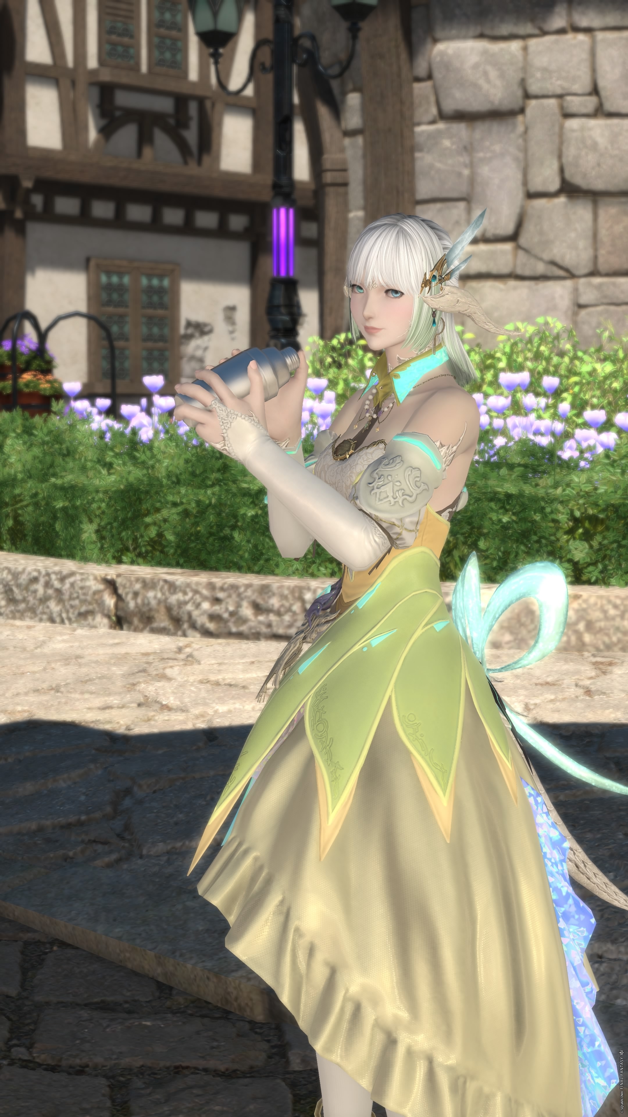 Neo-Queens-Dress-00015