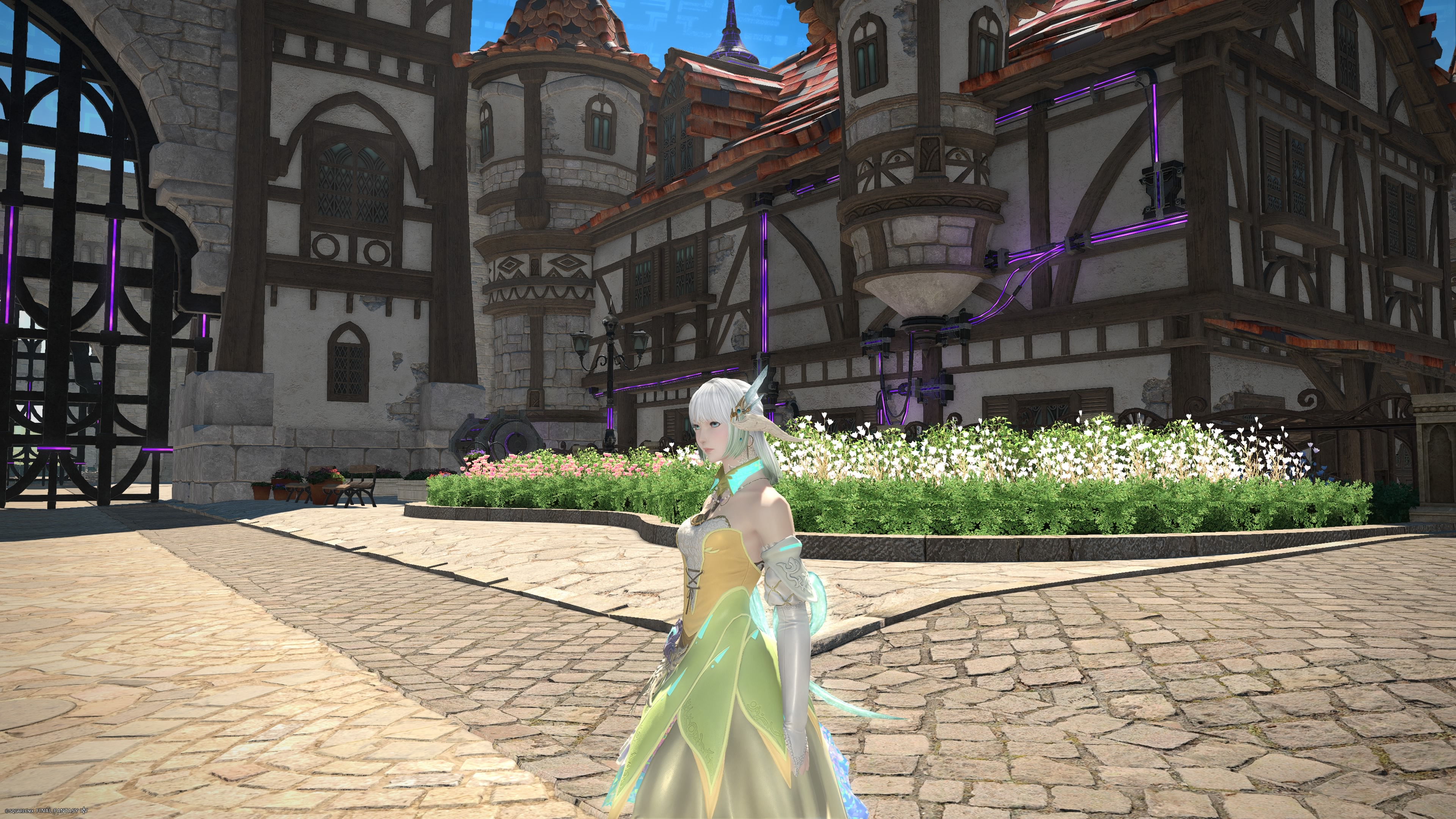 Neo-Queens-Dress-00012