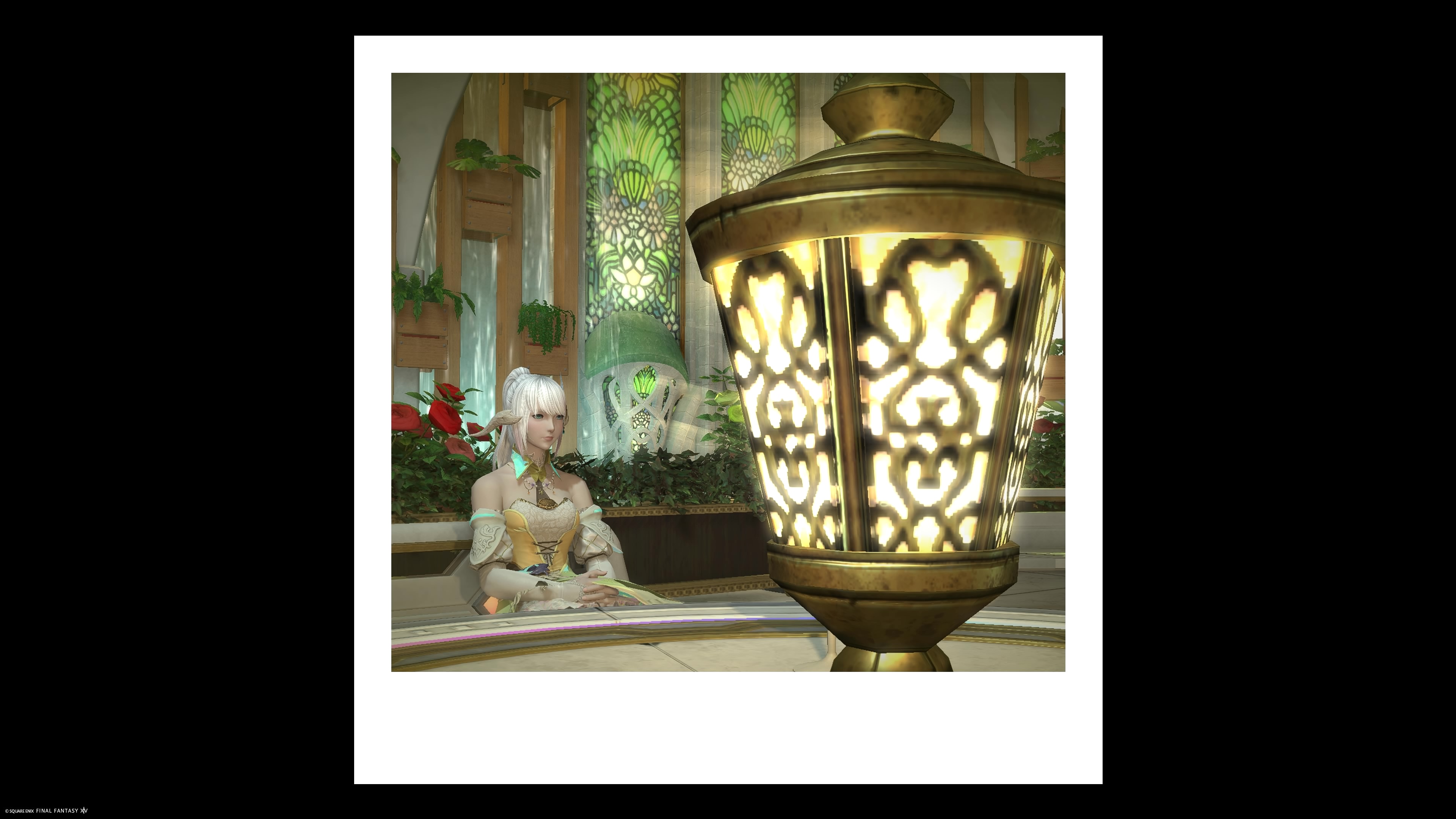 Scenic-camera-00114