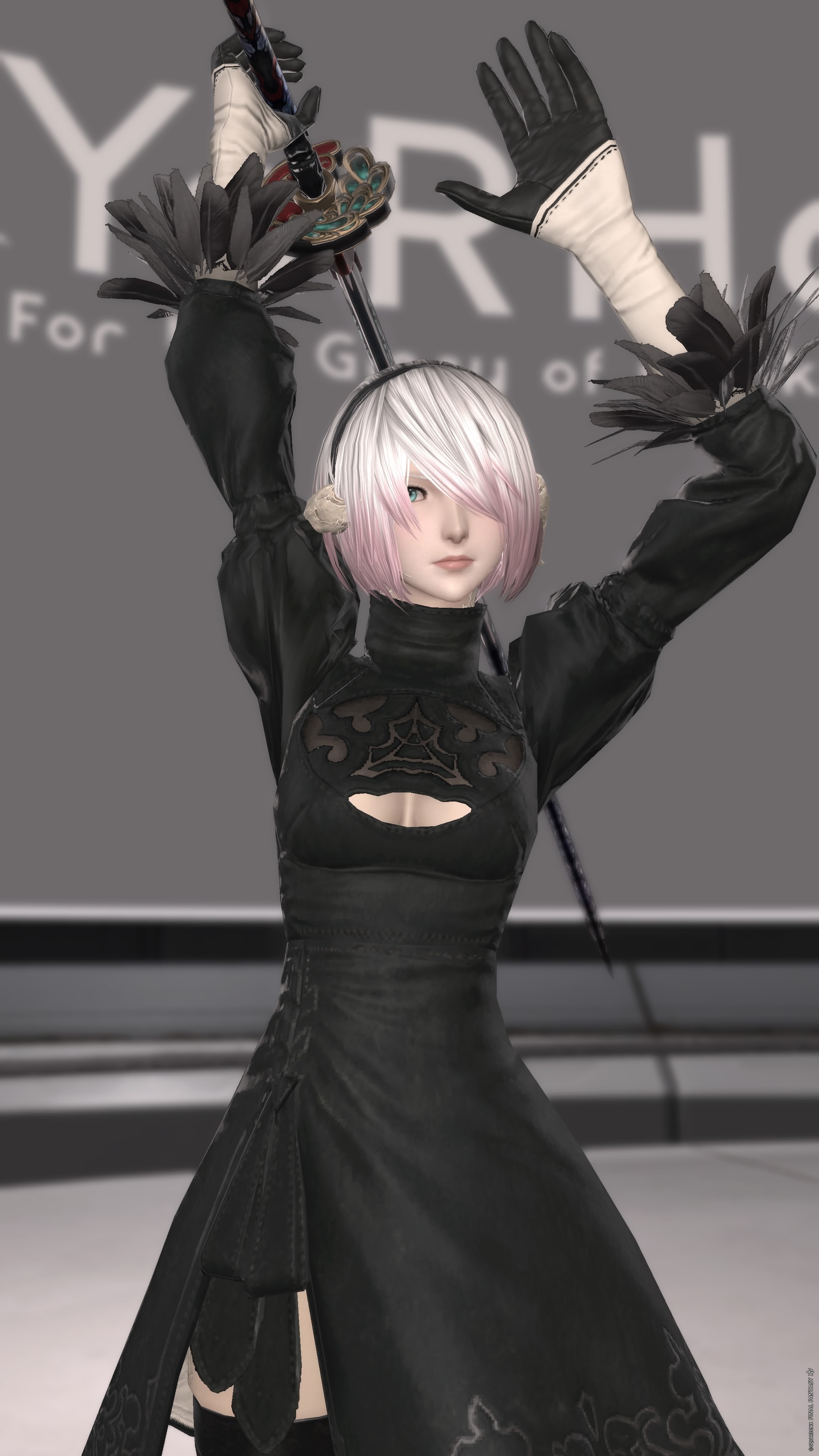 nier-2B-dress-00044