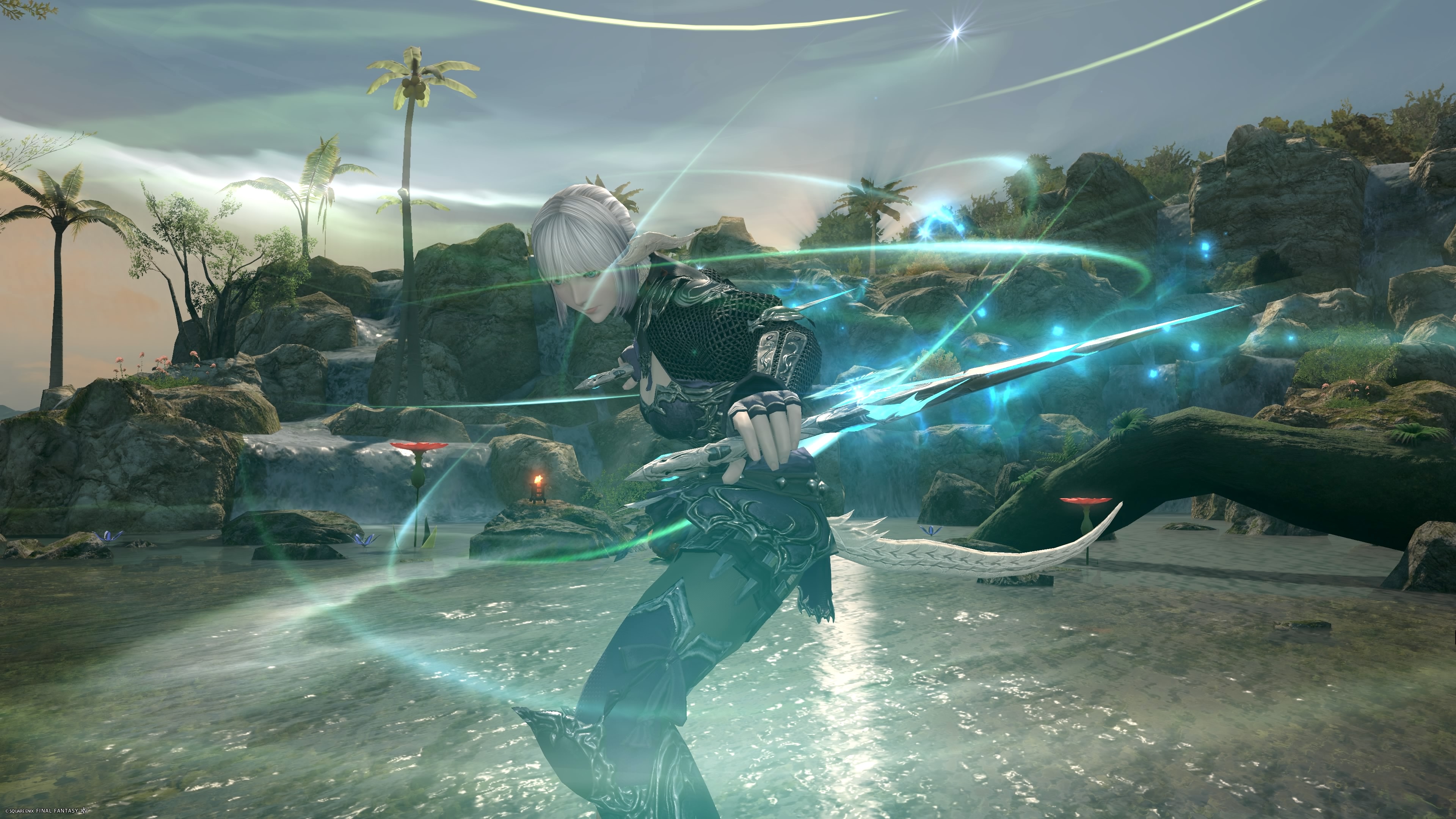 Ninja-00028