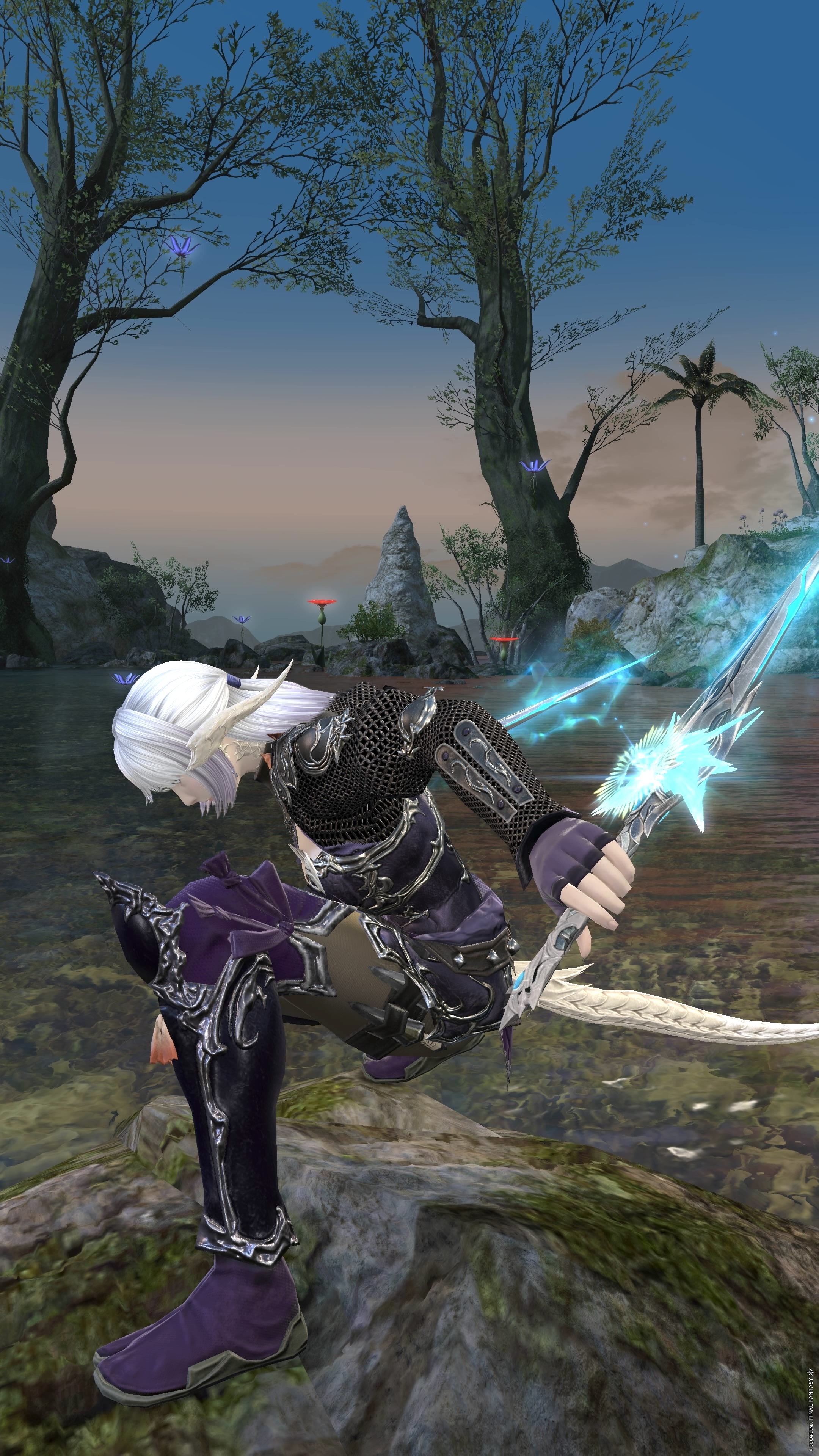 Ninja-00033