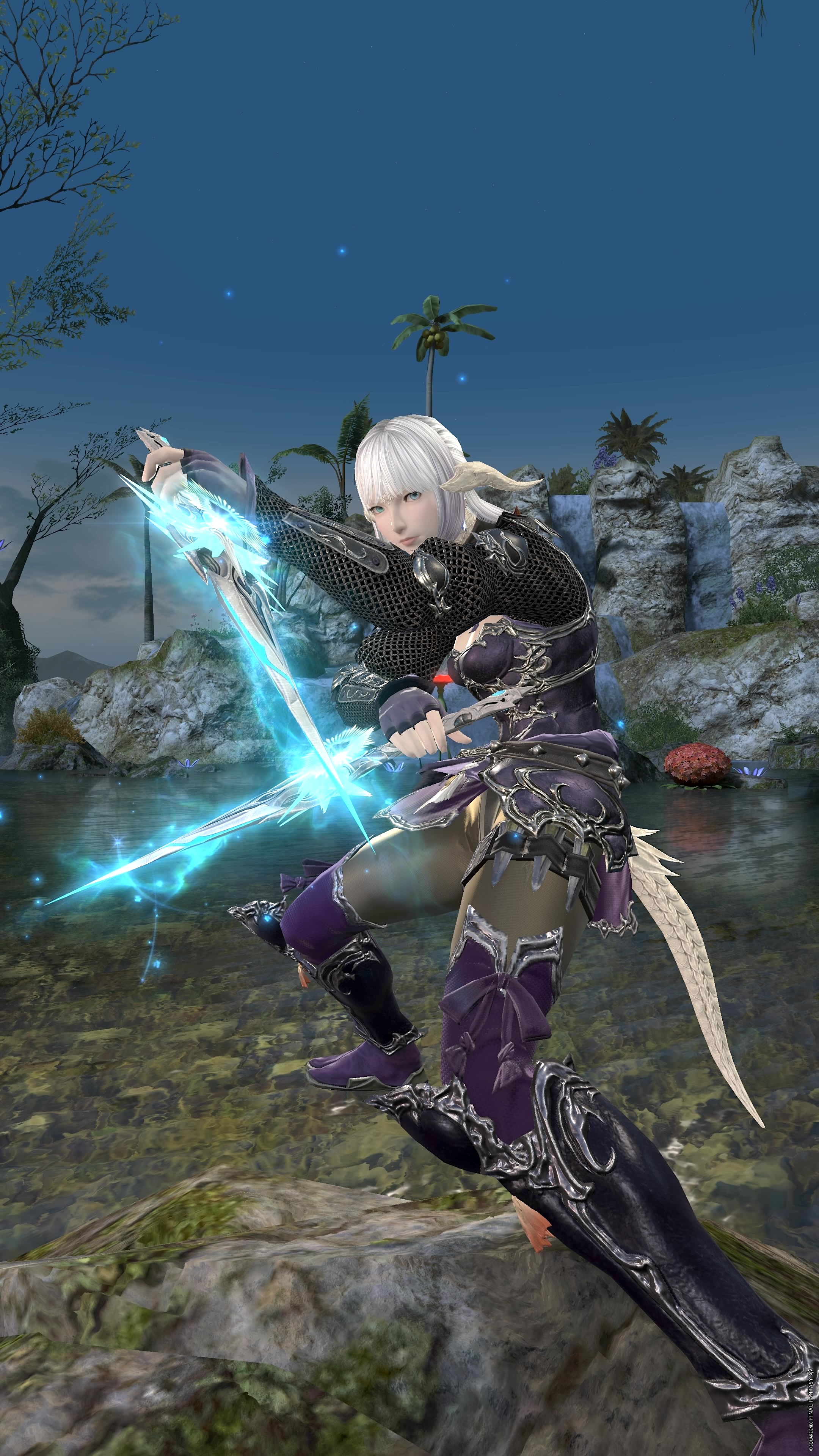 Ninja-00034