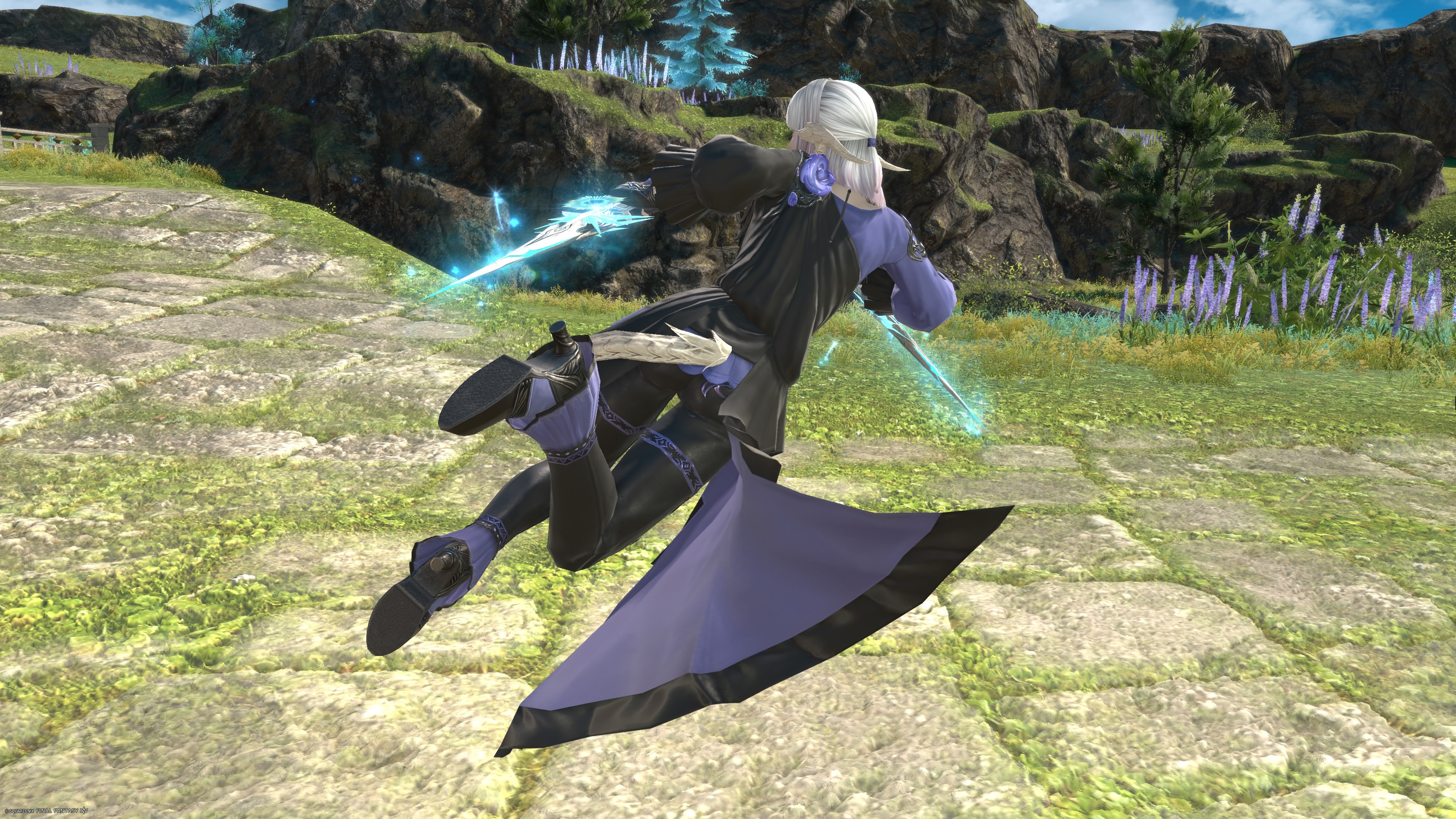Ninja-00043