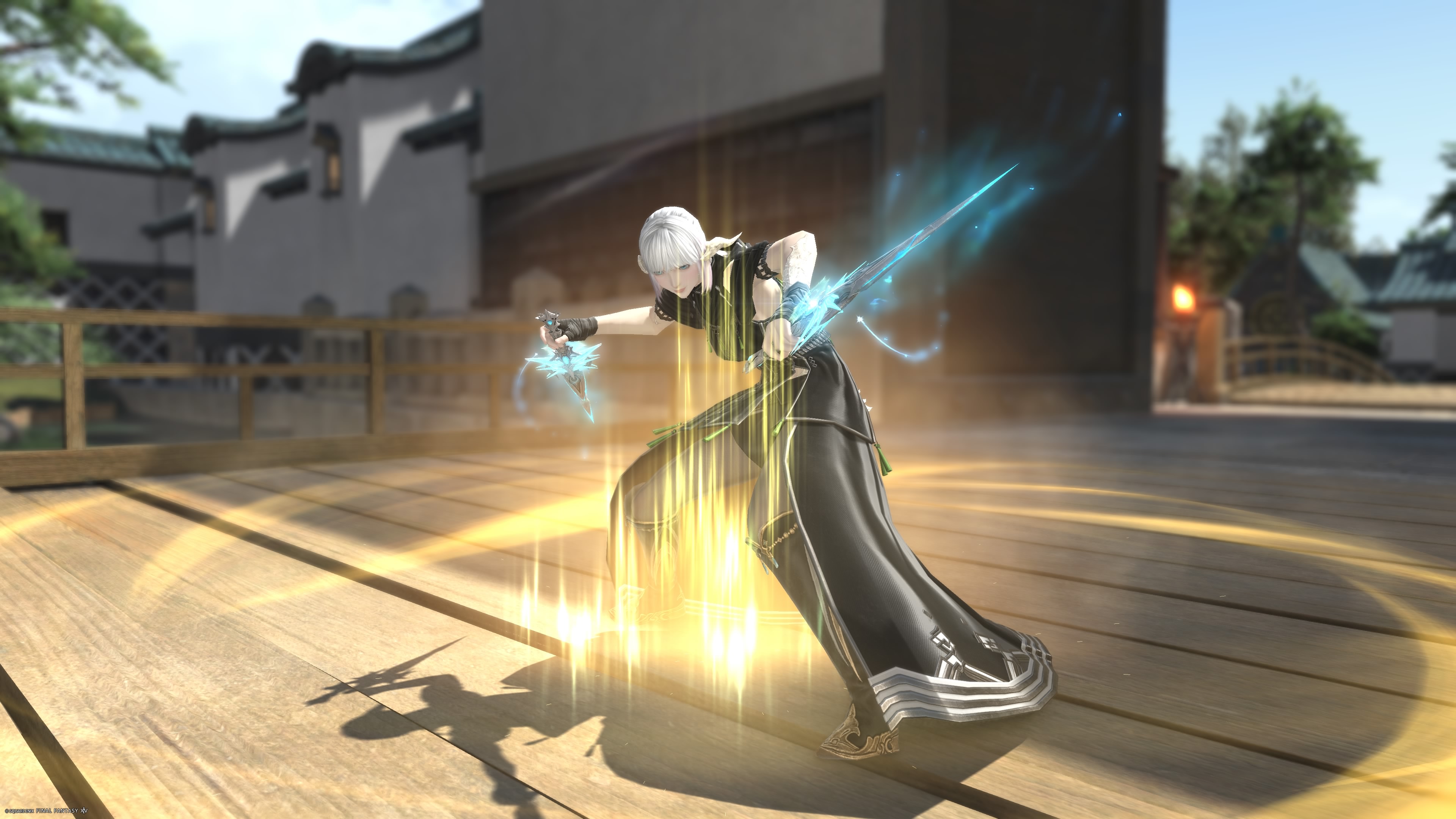 Ninja-00069