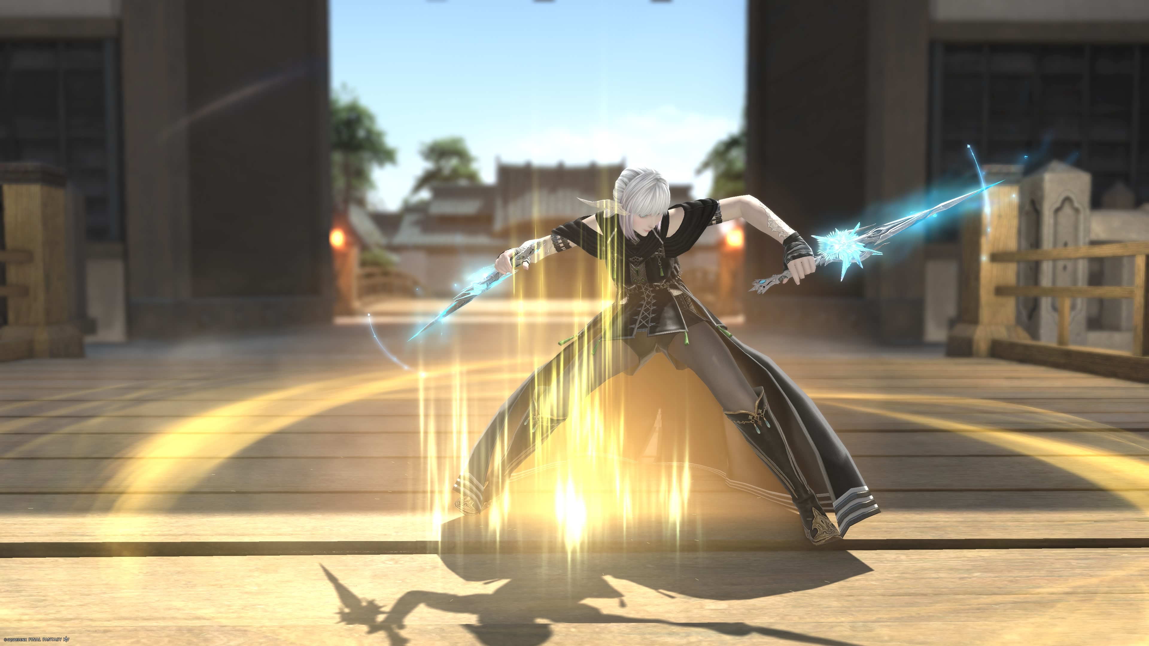 Ninja-00070