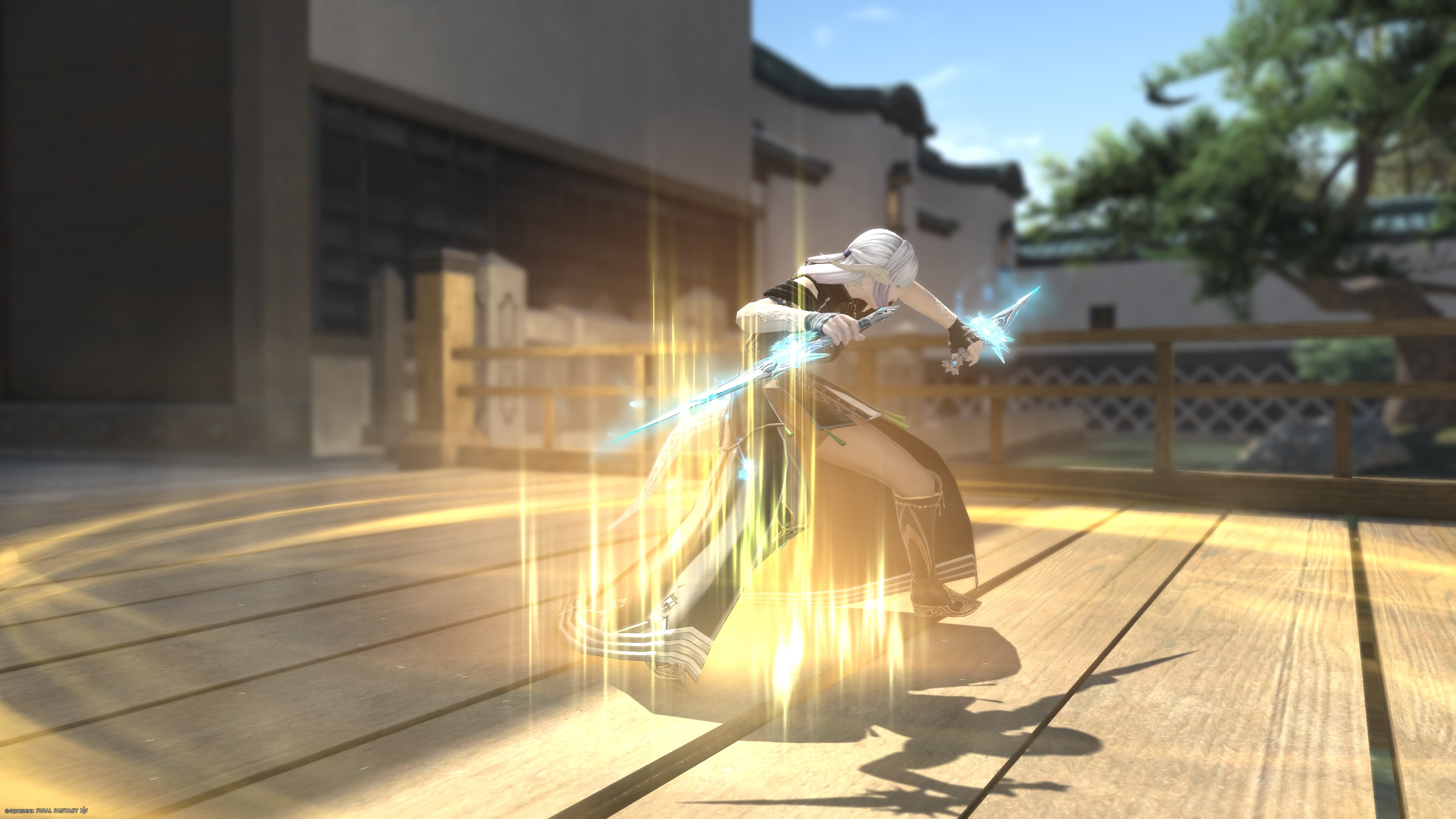 Ninja-00071