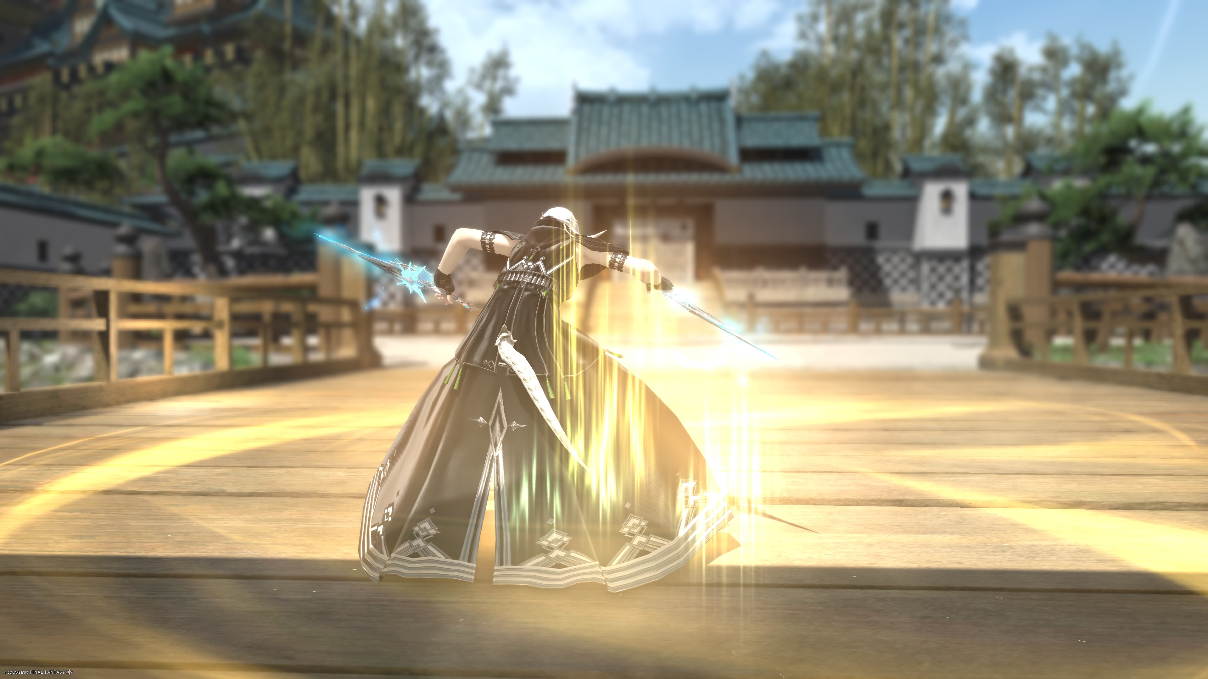 Ninja-00072