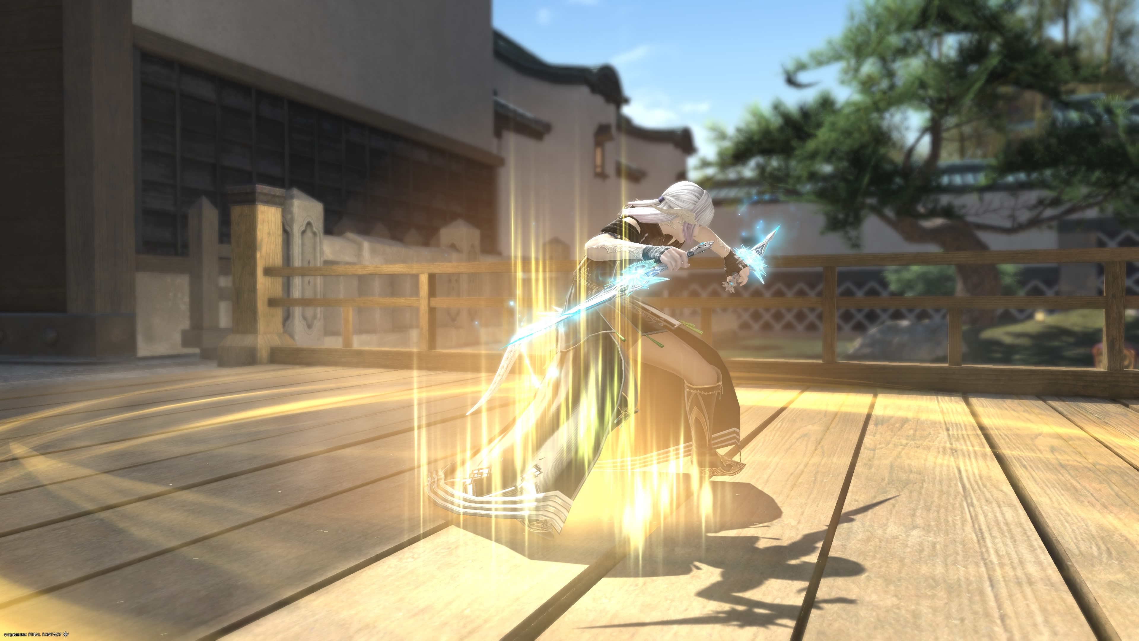 Ninja-00075