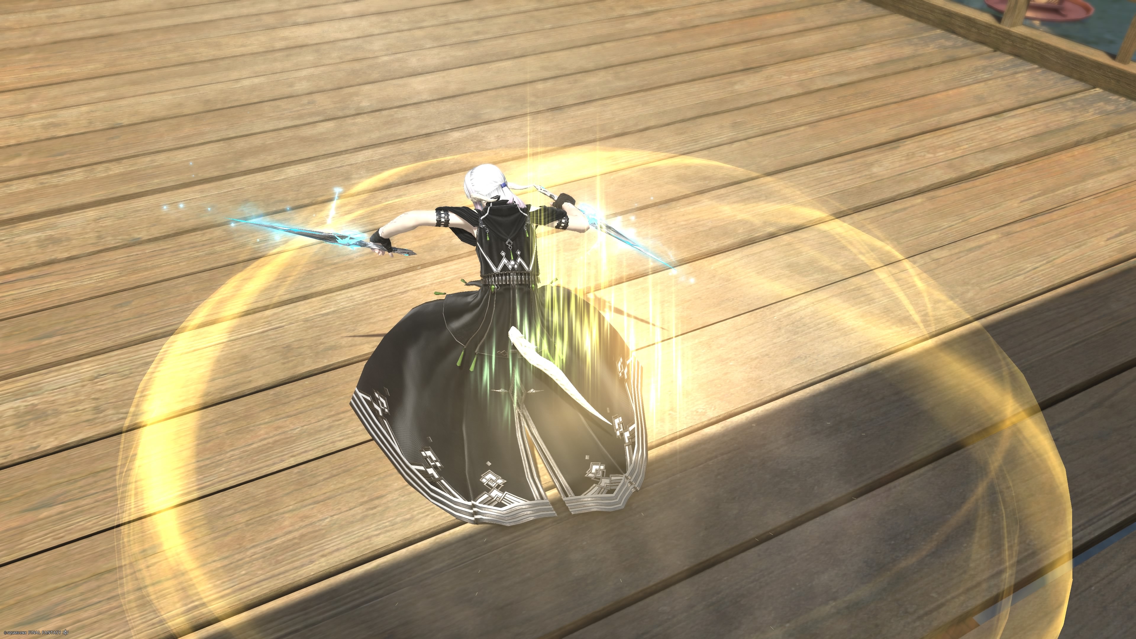 Ninja-00077
