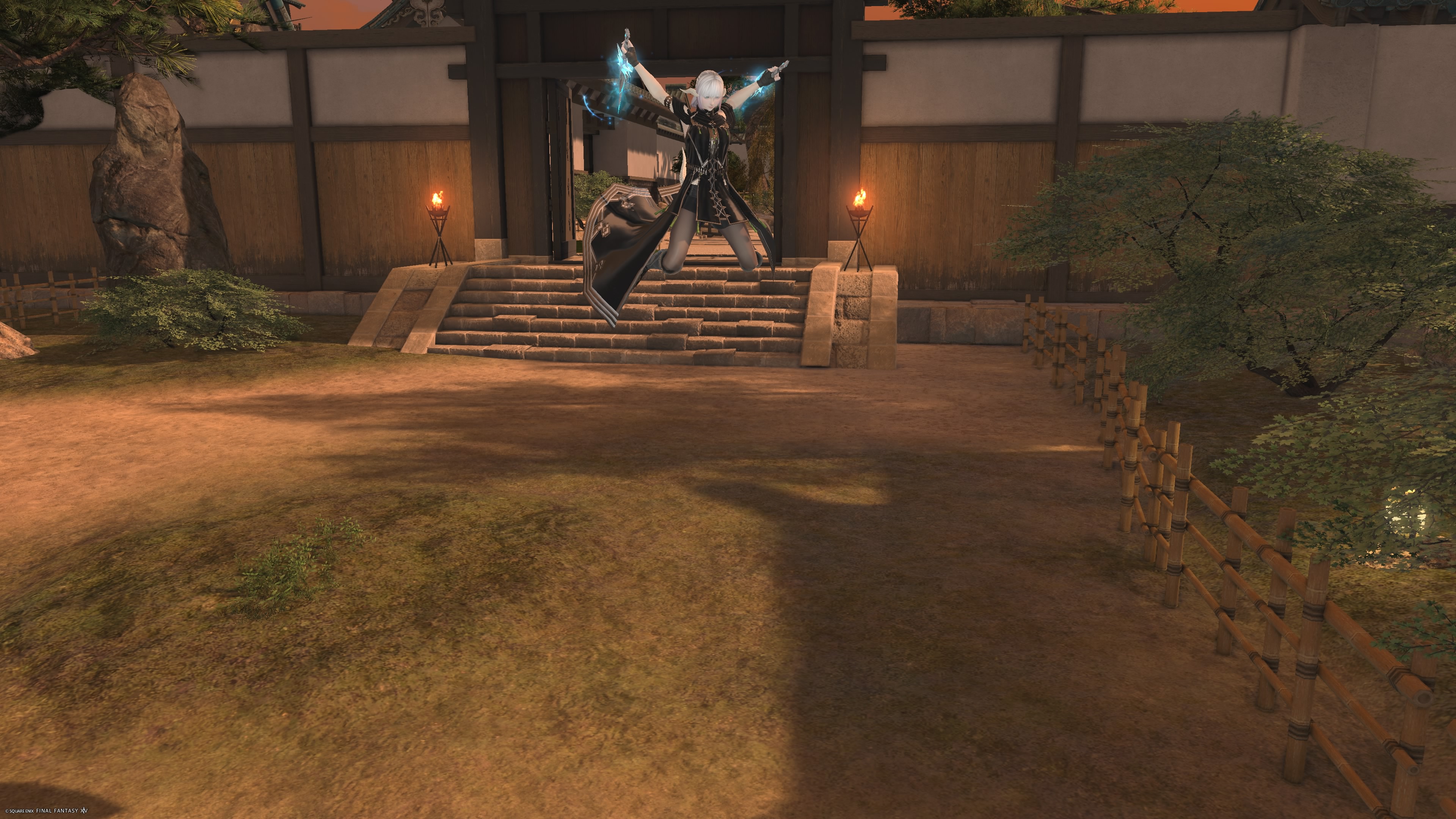 Ninja-00083