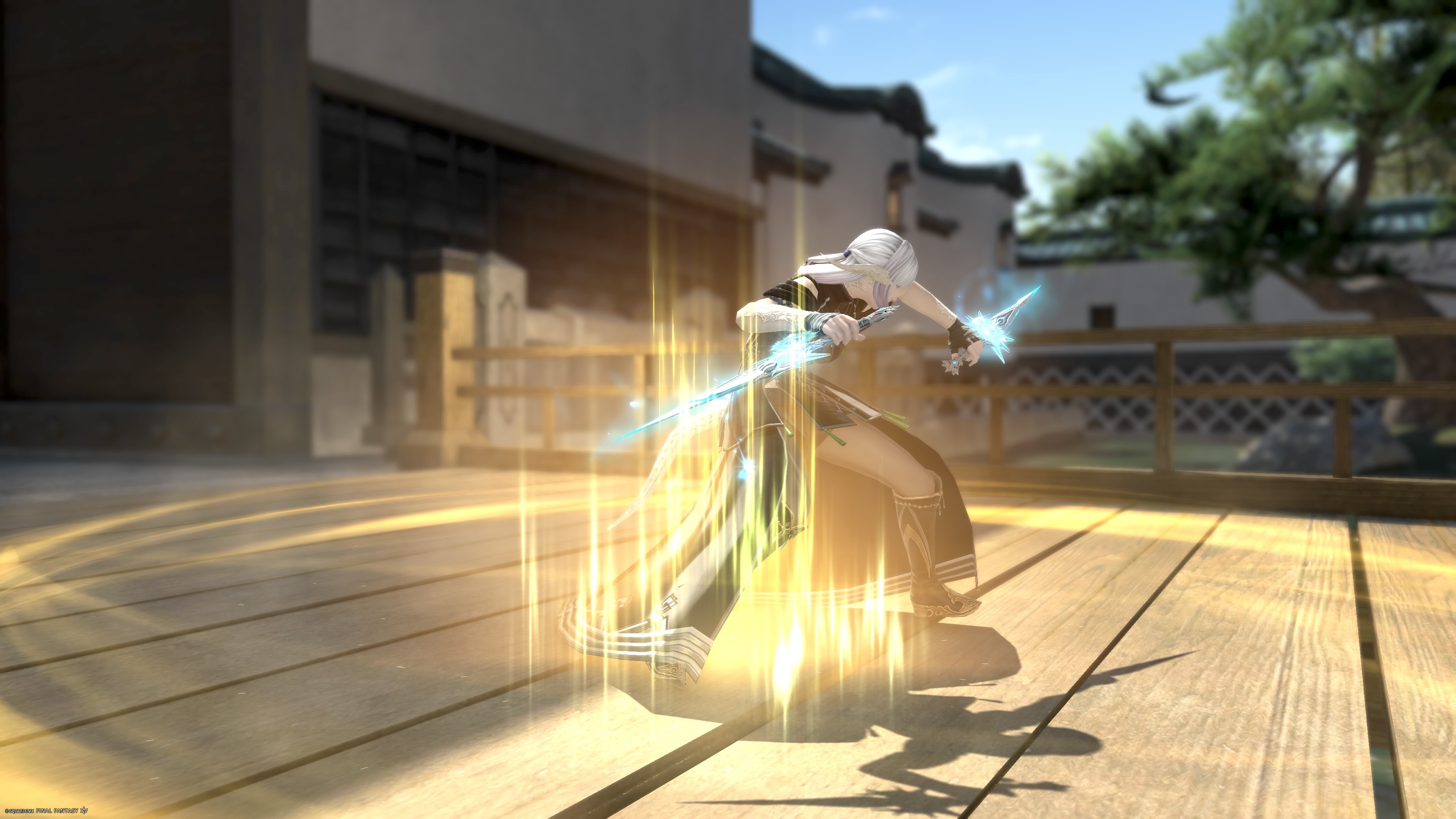 Ninja-00102