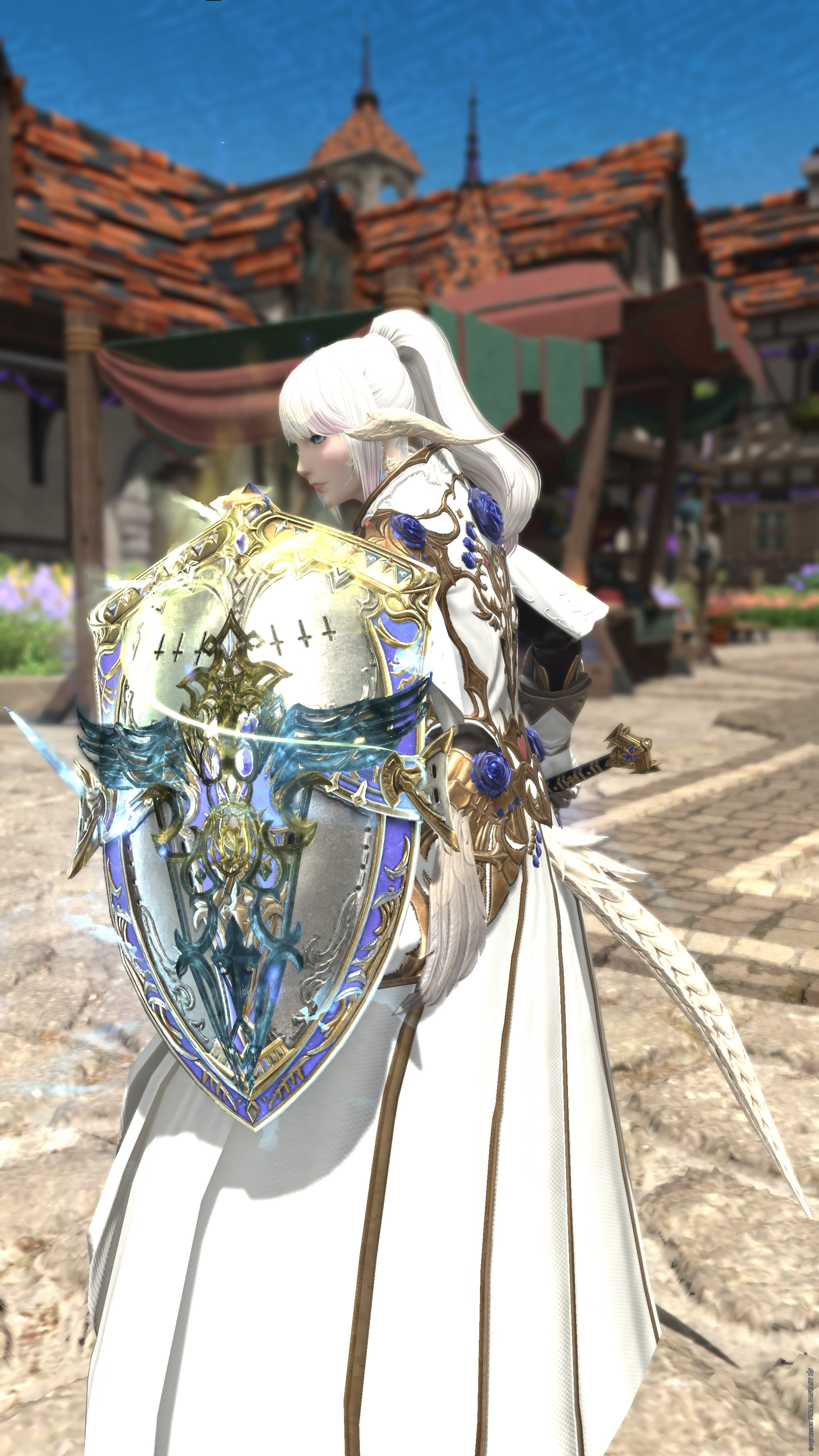 phantom-sord-shield-00228